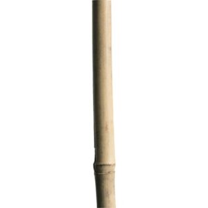 Bamboe vlaggenstok Ø 5 cm 5 meter hoog